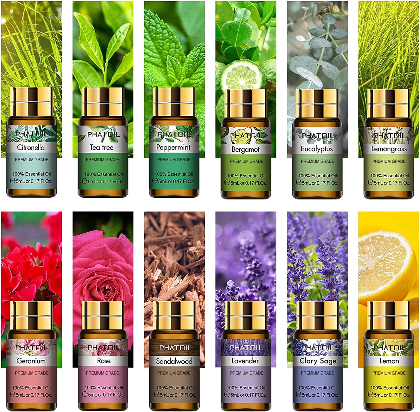 Aromatherapy Essential Oils 12pc Set