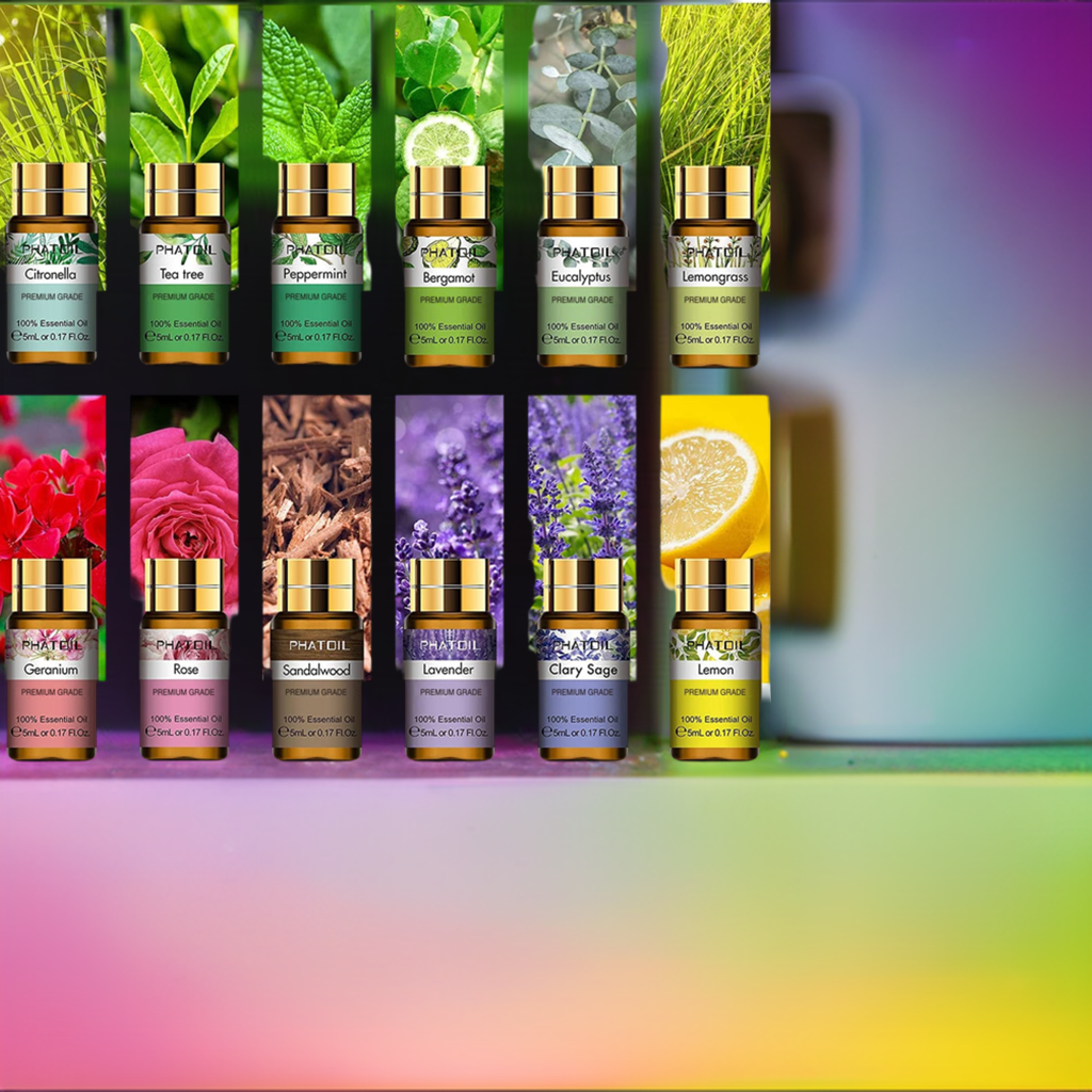 Aromatherapy Essential Oils 12pc Set